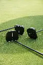 Boudin Noir on green.webp