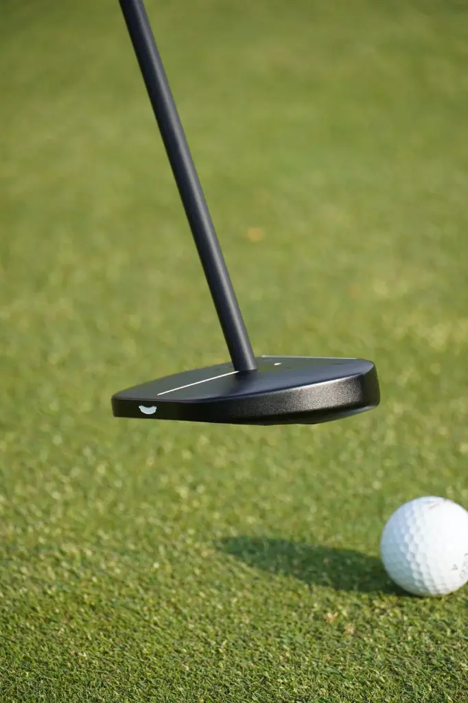 Boudin Noir putt.webp